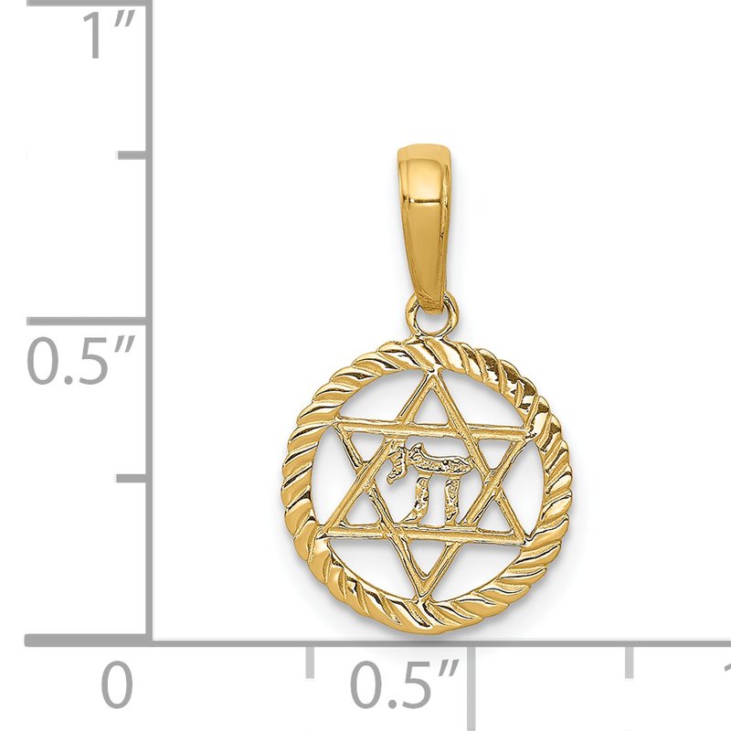 14K Star of David and Chai in Circle Pendant