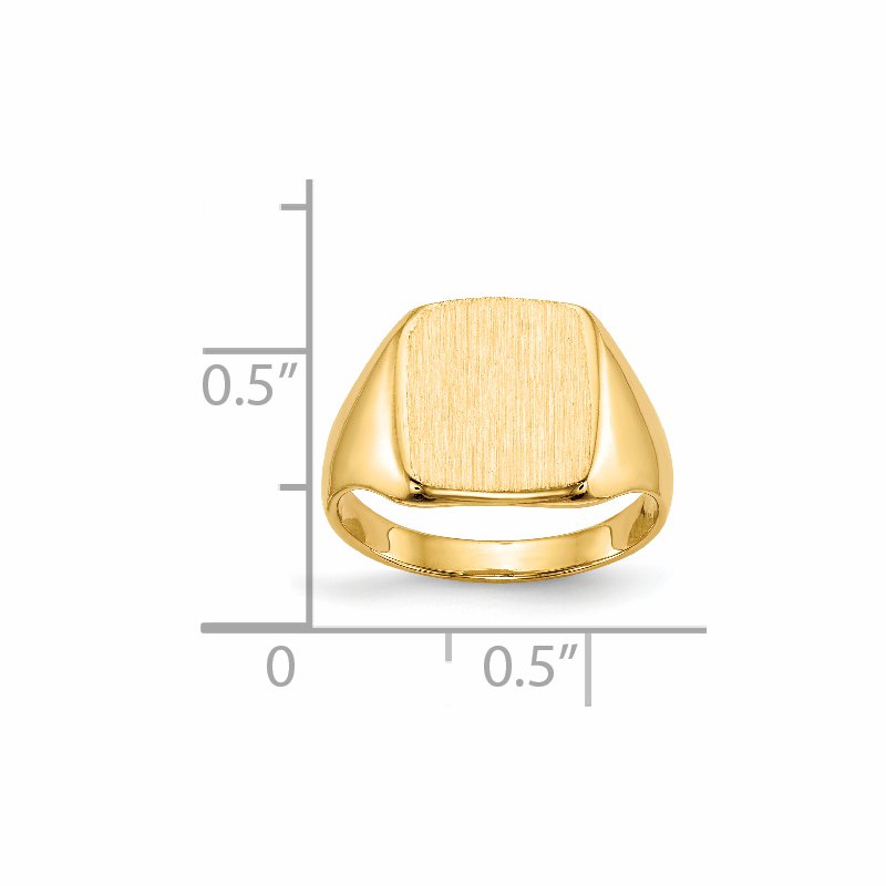 14k 10.0x10.0mm Closed Back Signet Ring