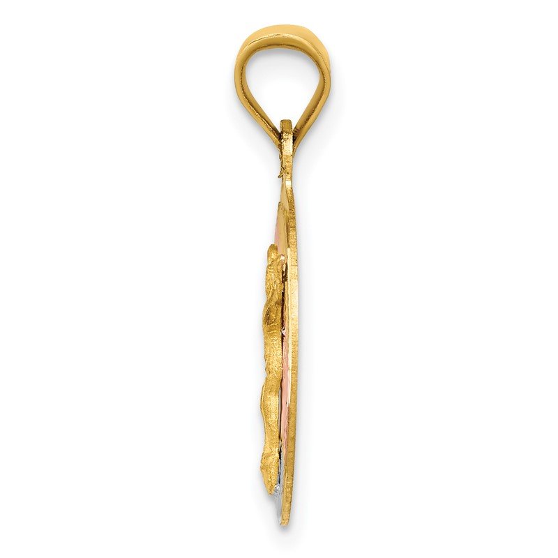 14K with Rose and White Rhodium Diamond-cut Corpus Circle Pendant