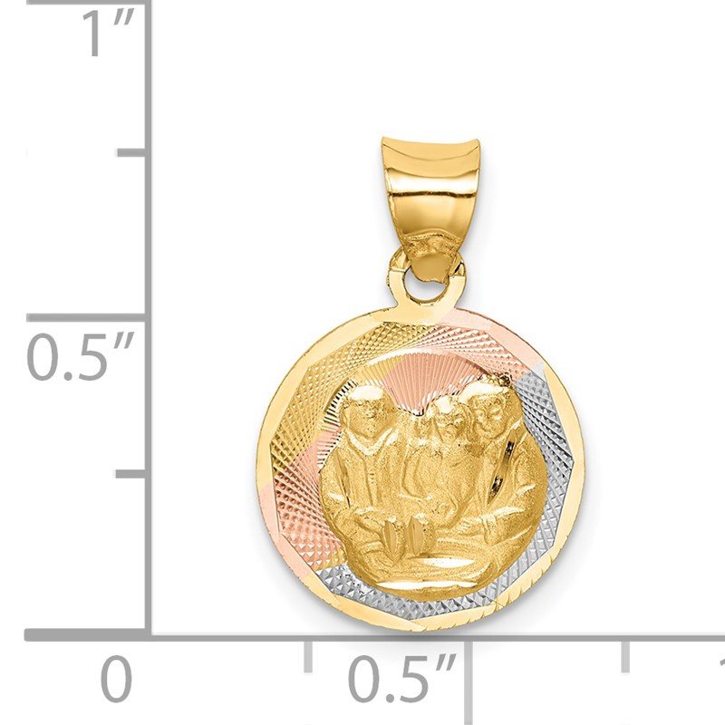14K with Rose and White Rhodium Diamond-cut Baptism Round Pendant