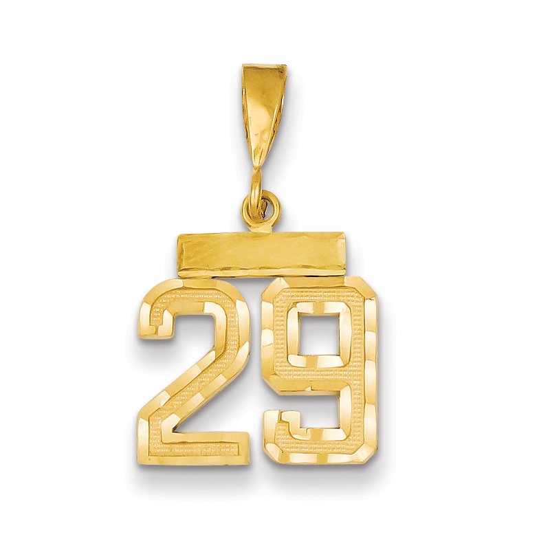 14k Small Brushed Diamond-cut Number 29 Charm