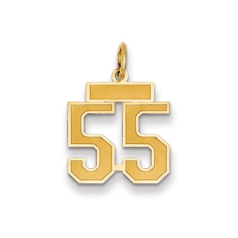 14k Small Satin Number 55 Charm