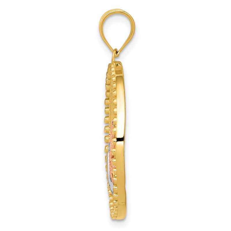 14K Two-tone with White Rhodium Dragonfly in Circle Pendant