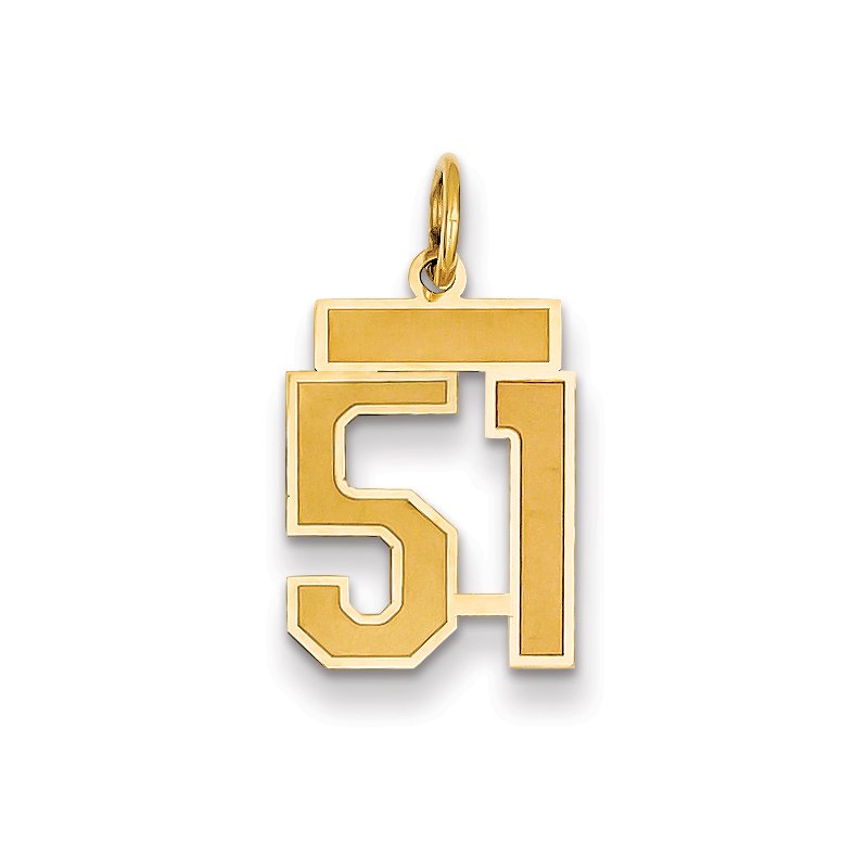 14k Small Satin Number 51 Charm