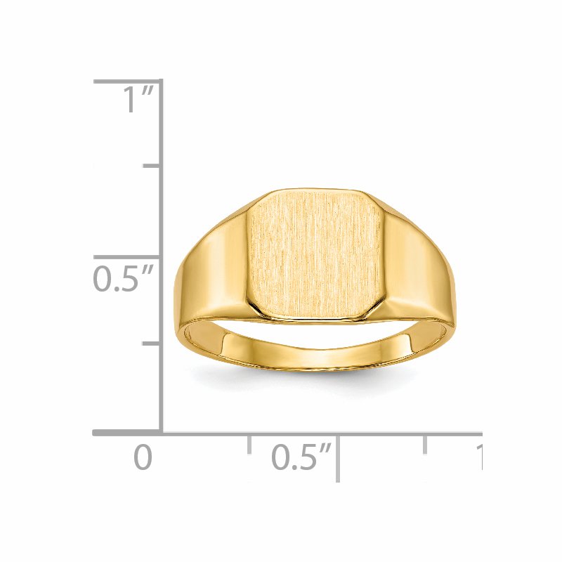 14k 11.0x11.0mm Closed Back Mens Signet Ring
