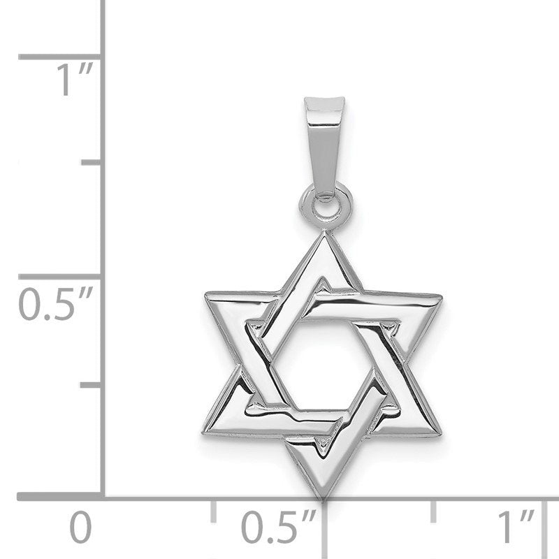 14K White Gold Polished Star of David Pendant