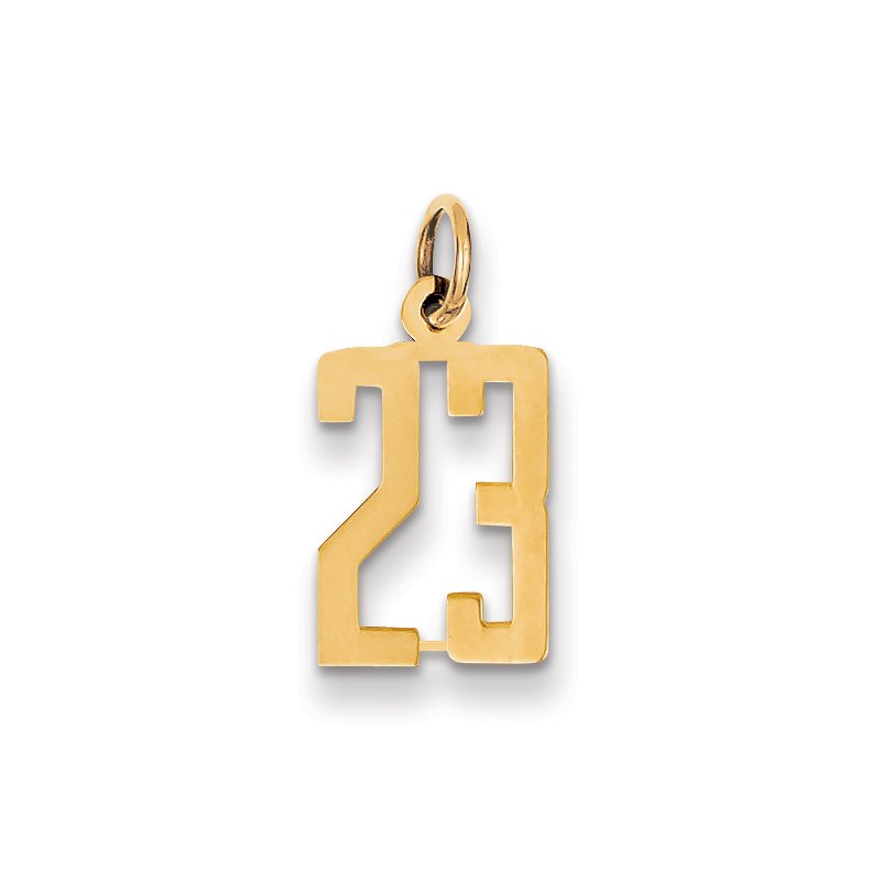 14k Small Elongated Number 23 Charm