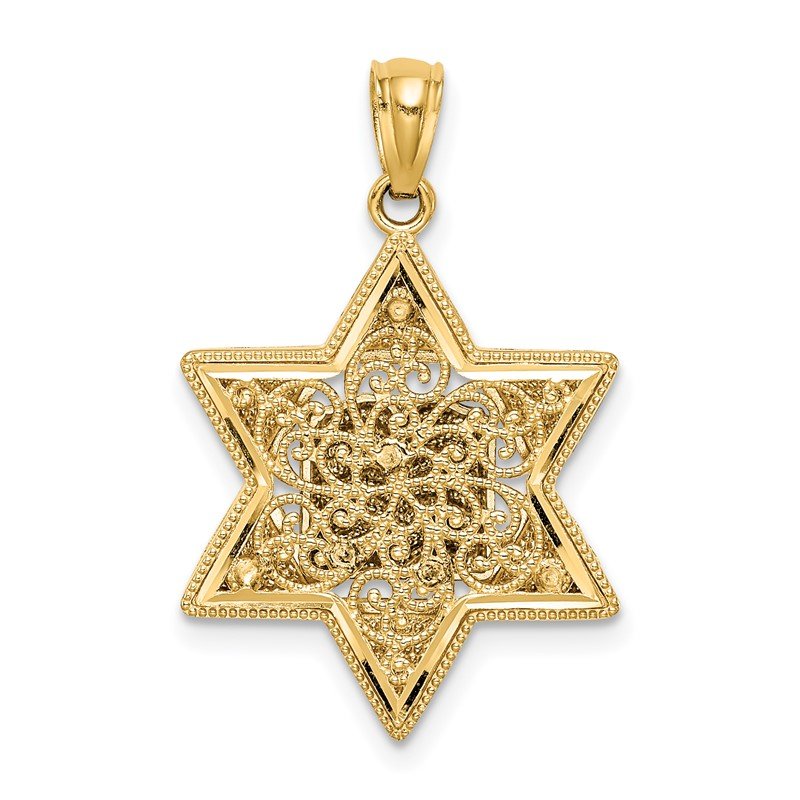 14k Two-tone Star of David and Torah Pendant