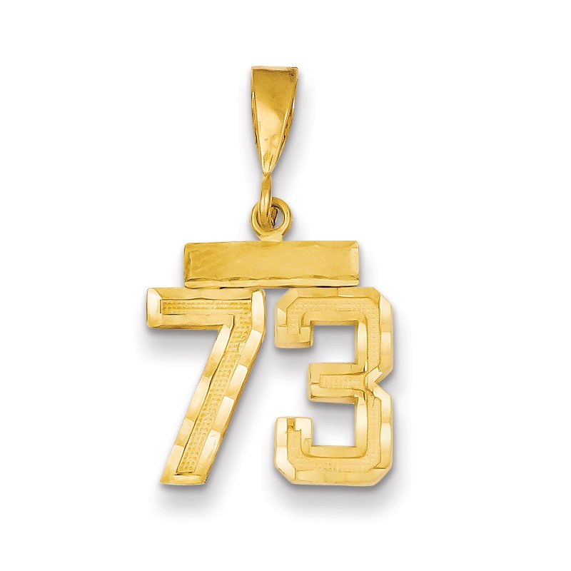 14k Small Brushed Diamond-cut Number 73 Charm