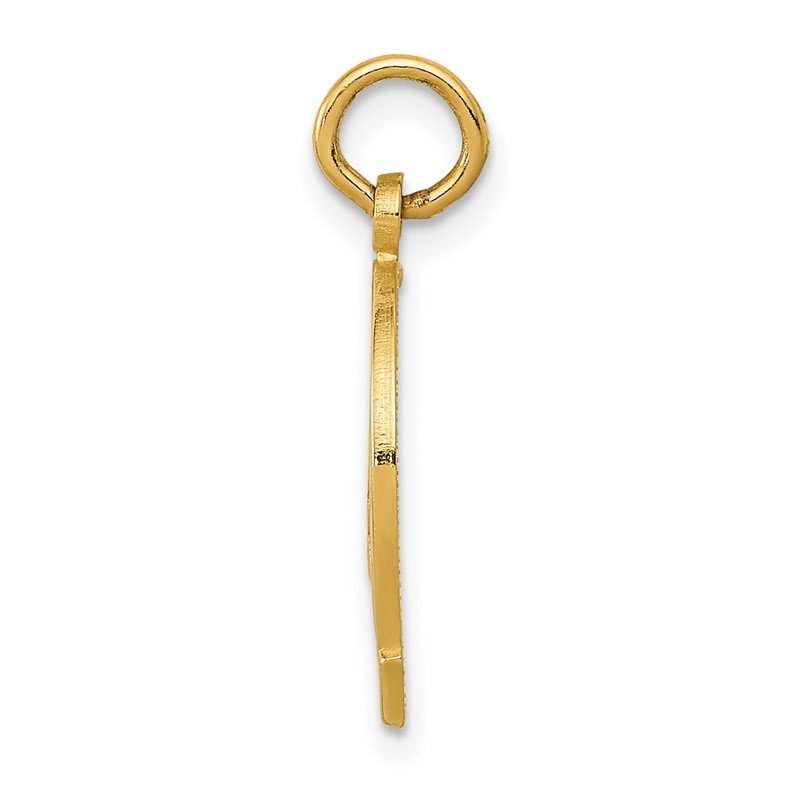 14k GOOD LUCK Horseshoe Charm