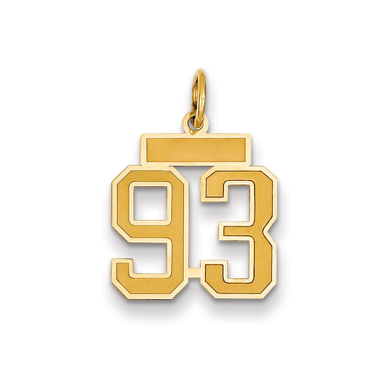 14k Small Satin Number 93 Charm