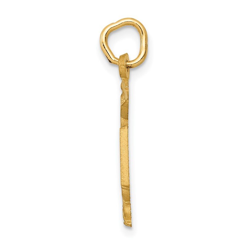 14k RN Registered Nurse Charm