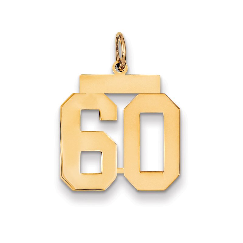 14k Medium Polished Number 60 Charm