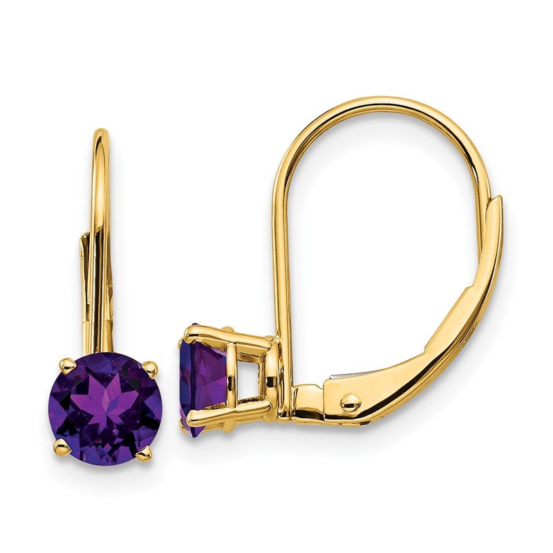 14k 5mm Round Amethyst Leverback Earrings