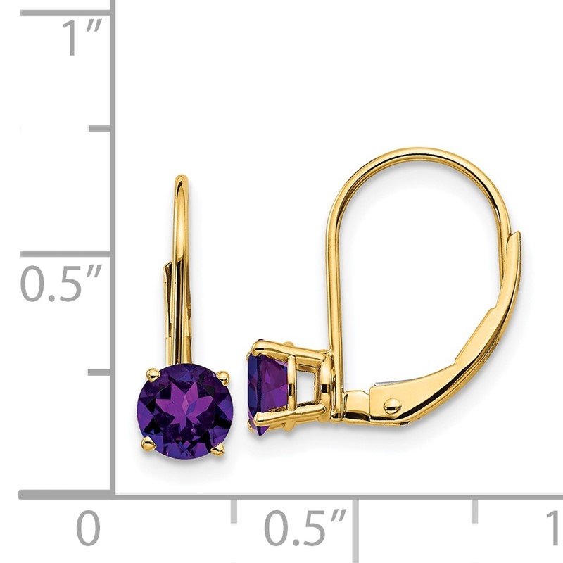 14k 5mm Round Amethyst Leverback Earrings
