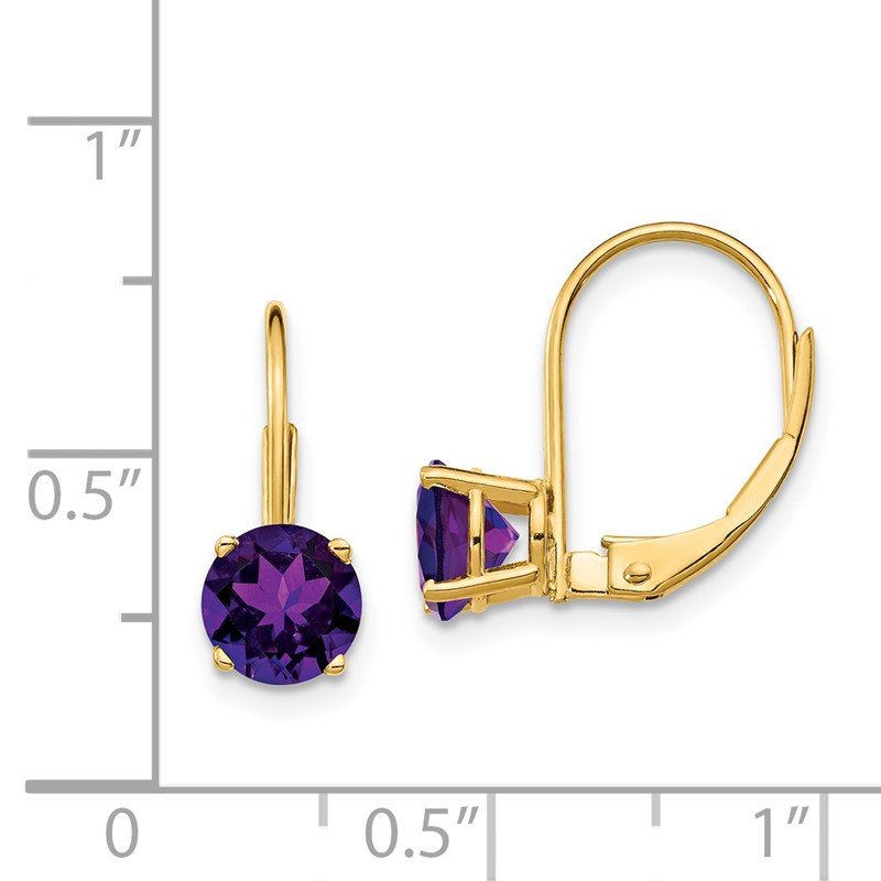 14k 6mm Round Amethyst Leverback Earrings