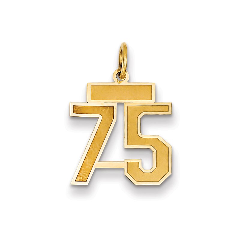 14k Small Satin Number 75 Charm