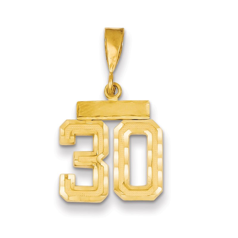 14k Small Brushed Diamond-cut Number 30 Charm