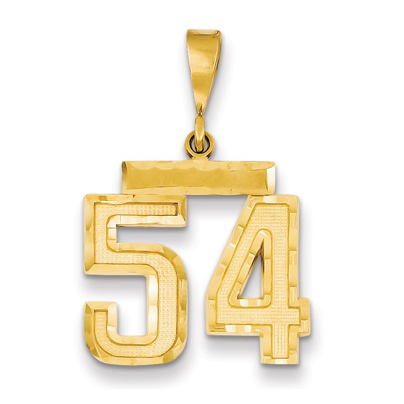 14k Medium Diamond-cut Number 54 Charm