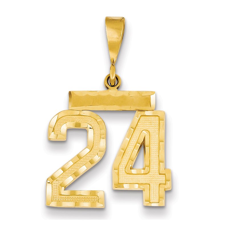 14k Medium Diamond-cut Number 24 Charm