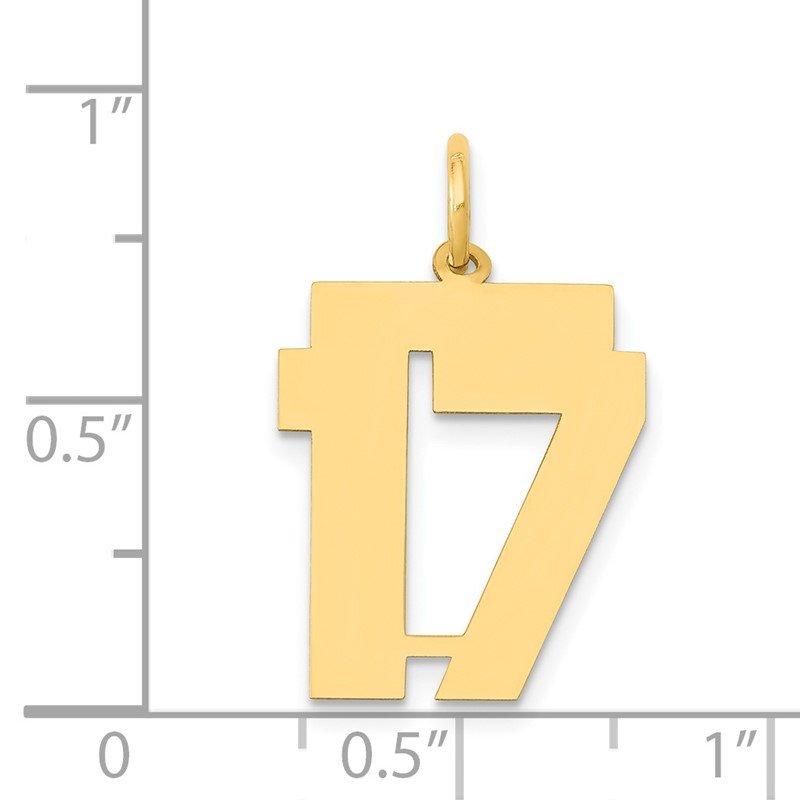 14k Medium Polished Number 17 Charm