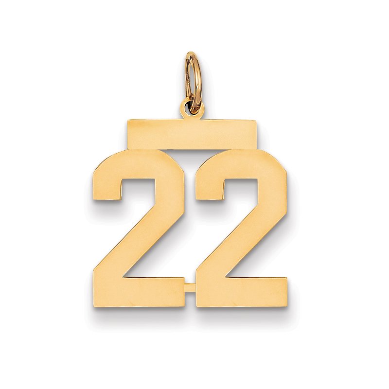 14k Medium Polished Number 22 Charm