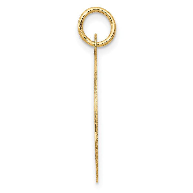 14k Medium PARAMEDIC Medical Pendant
