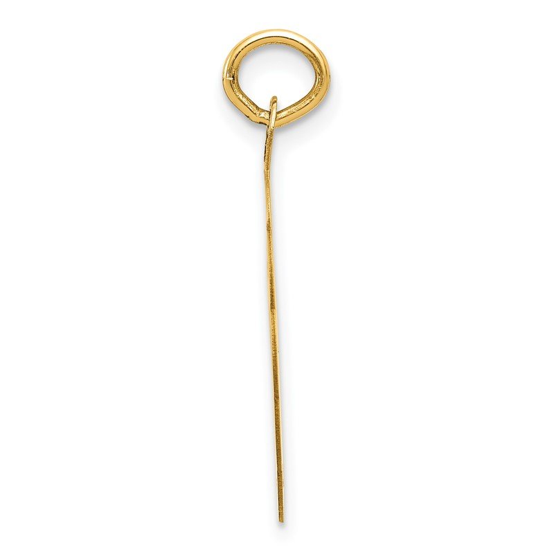 14k SWIMMING 19mm Engravable Disc Charm