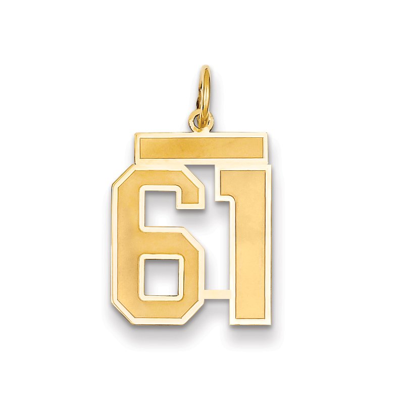 14k Medium Satin Number 61 Charm