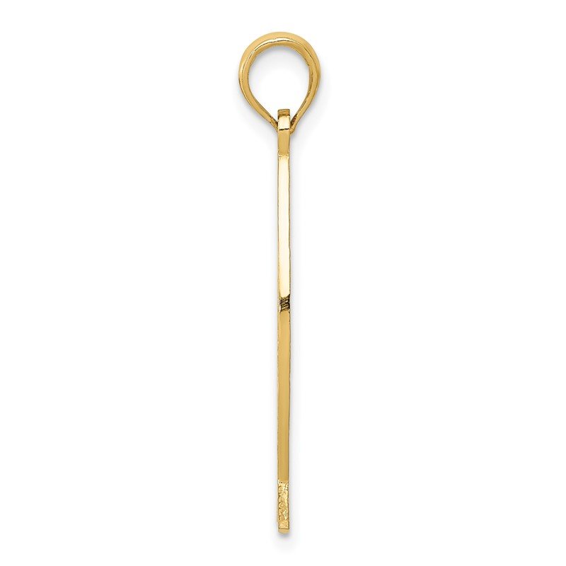 14K Ichthus Fish with JESUS Pendant