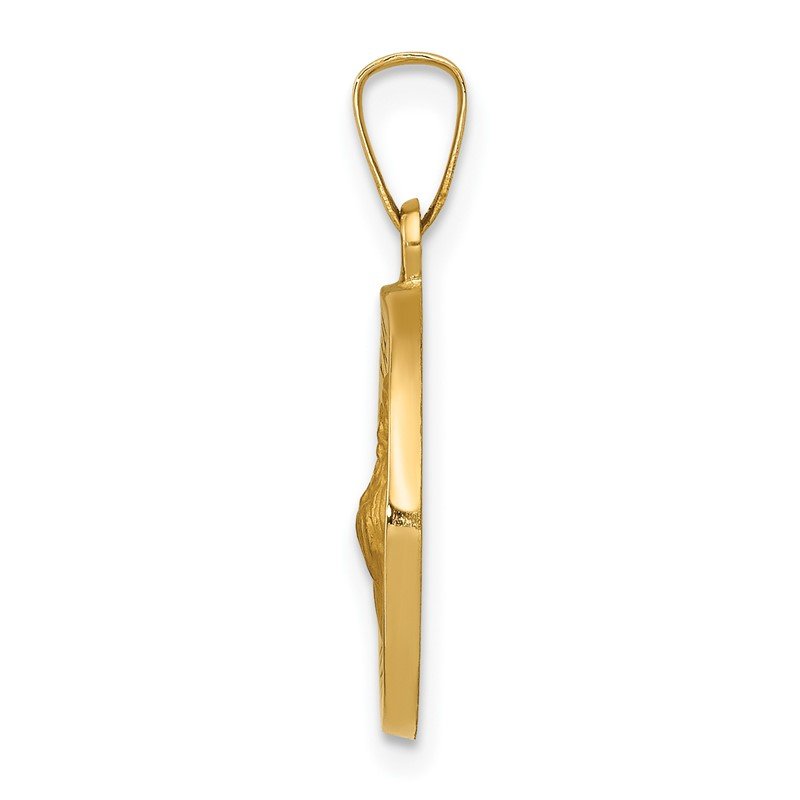 14k Polished and Satin Hollow St Francis of Assisi Medal Round Pendant