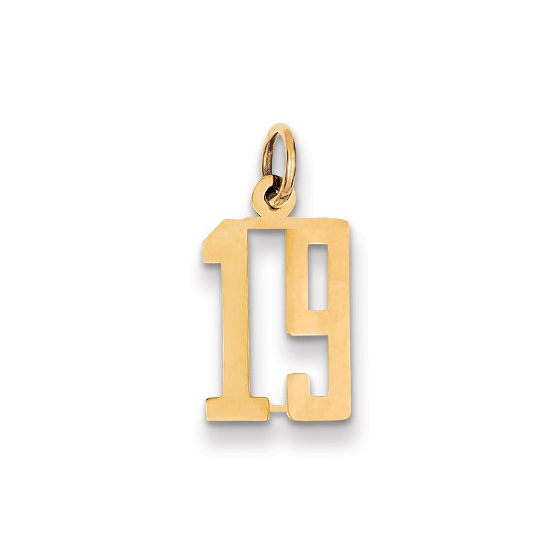 14k Small Elongated Number 19 Charm