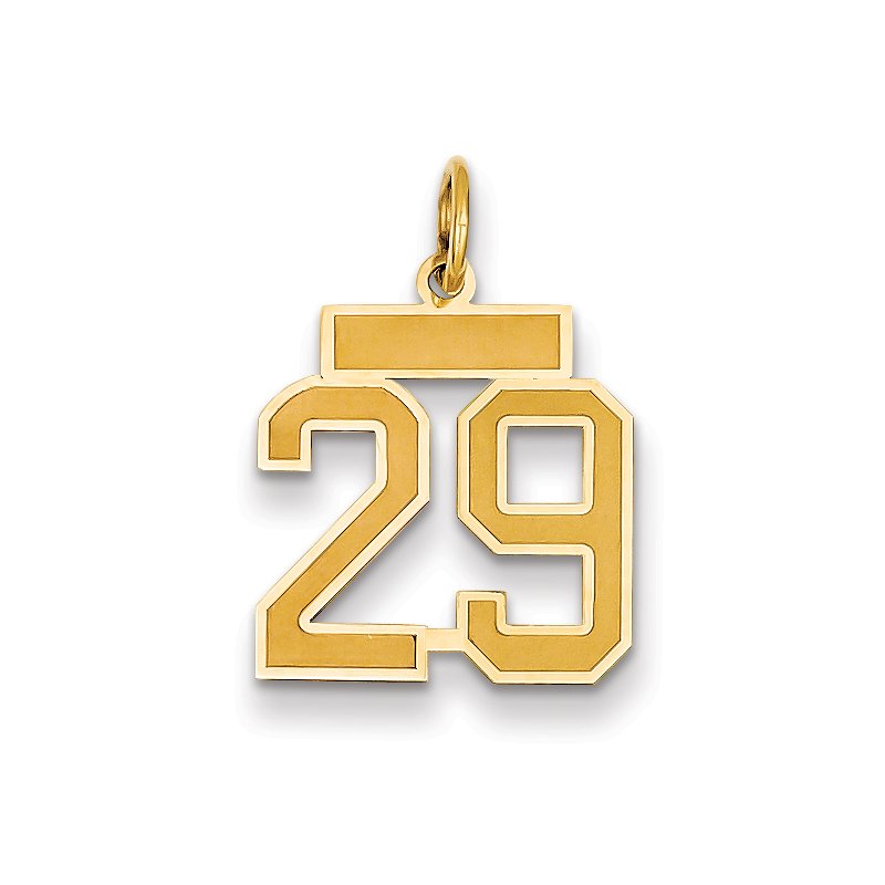 14k Small Satin Number 29 Charm