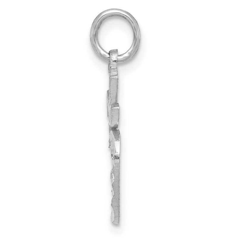 14k White Gold Diamond-cut Apple Charm