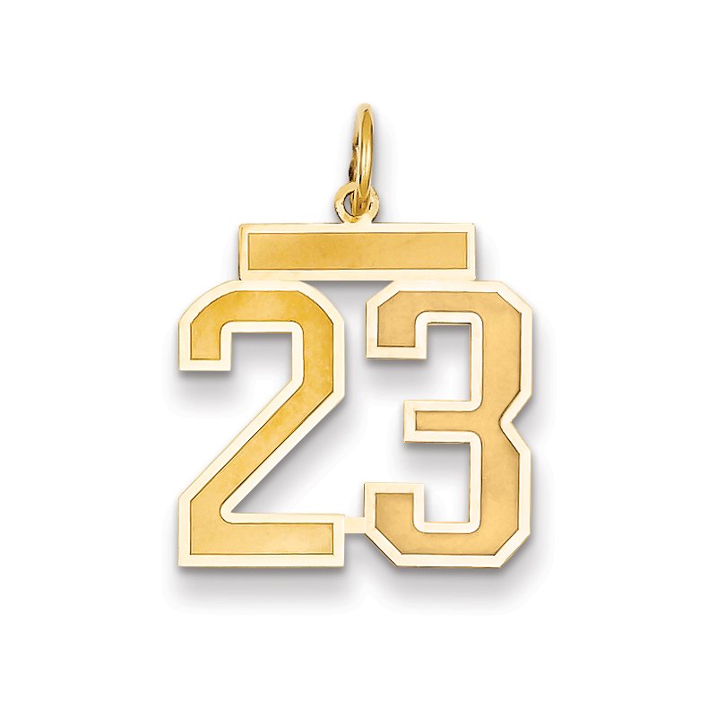 14k Medium Satin Number 23 Charm