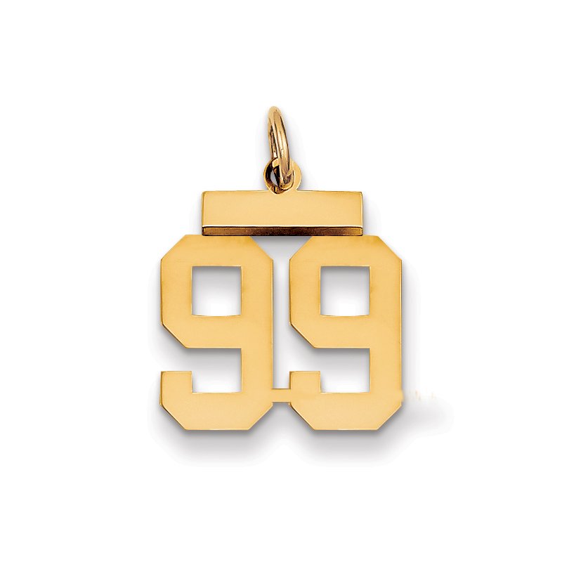 14k Small Polished Number 99 Charm