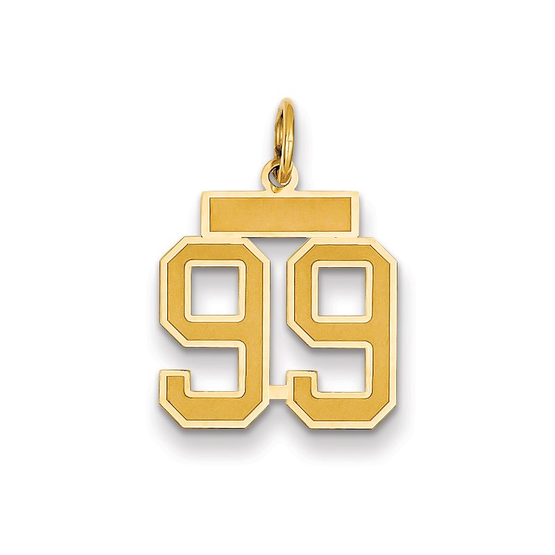 14k Small Satin Number 99 Charm