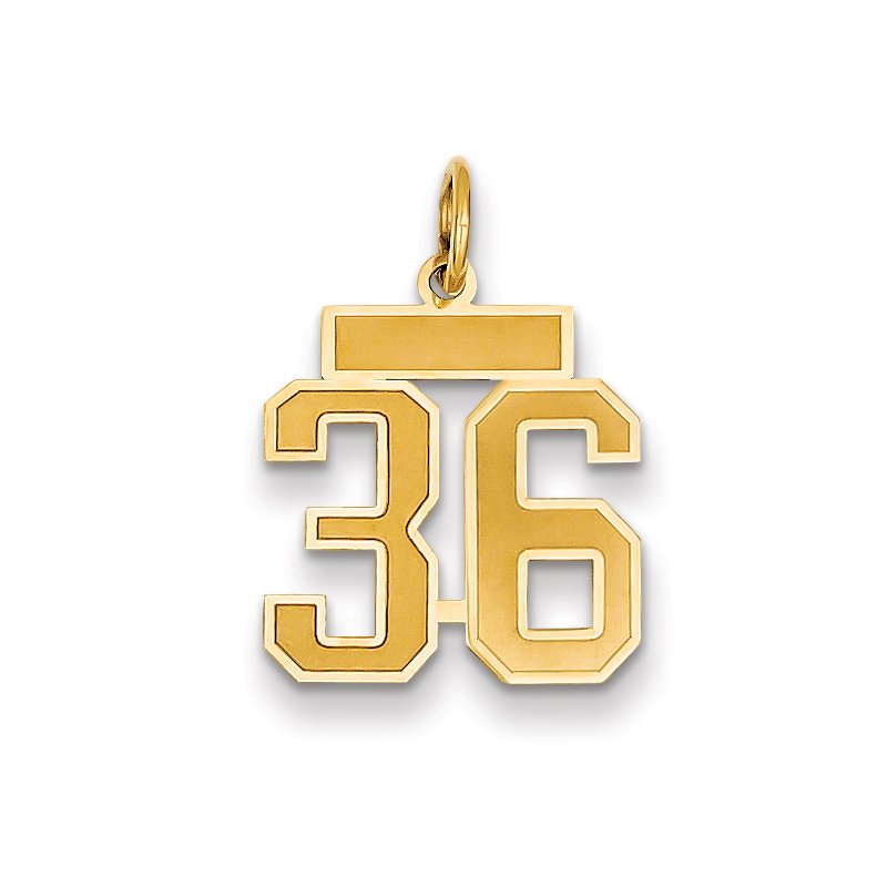 14k Small Satin Number 36 Charm