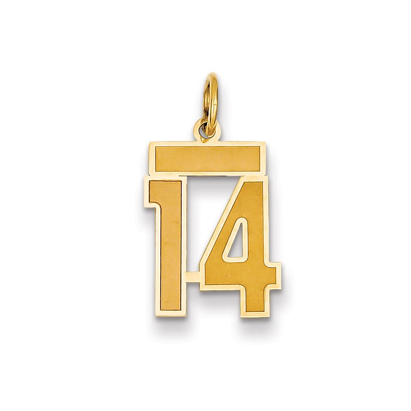 14k Small Satin Number 14 Charm