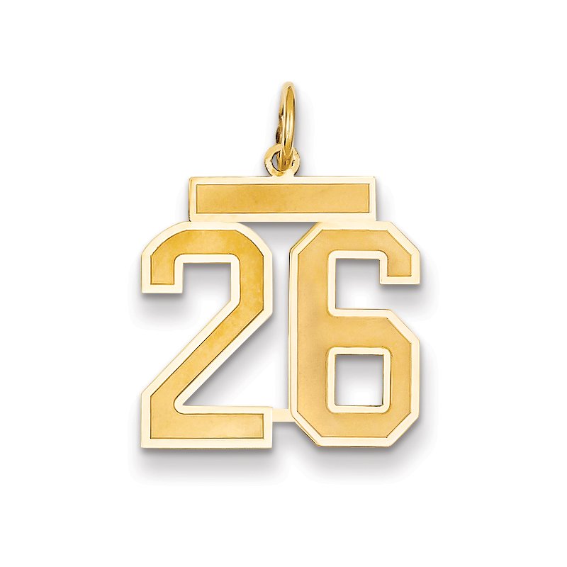 14k Medium Satin Number 26 Charm