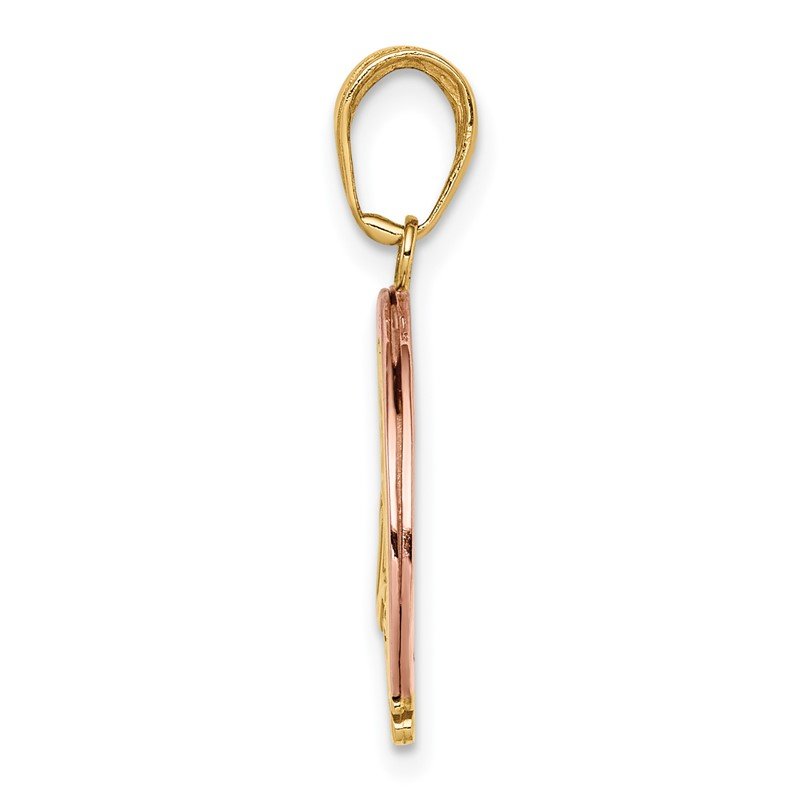 14k Two-tone with White Rhodium FOLLOW YOUR DREAMS Rainbow Charm