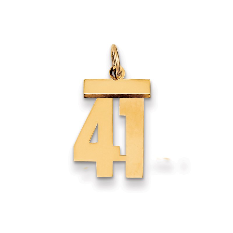 14k Small Polished Number 41 Charm