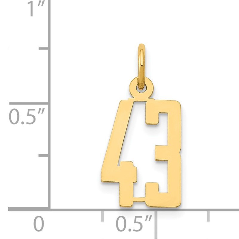 14k Small Elongated Number 43 Charm