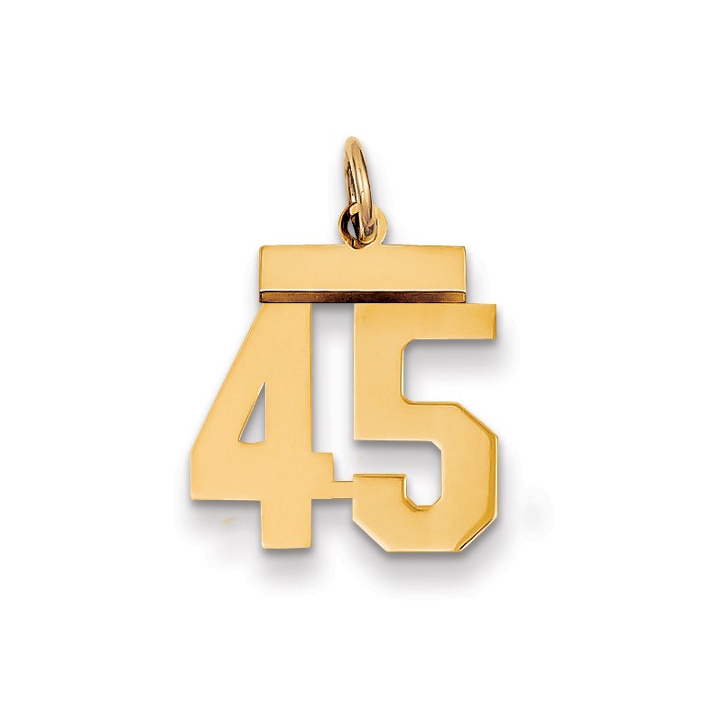 14k Small Polished Number 45 Charm