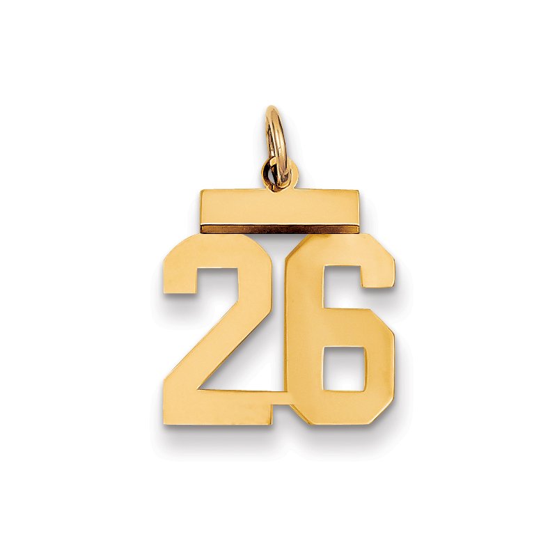 14k Small Polished Number 26 Charm