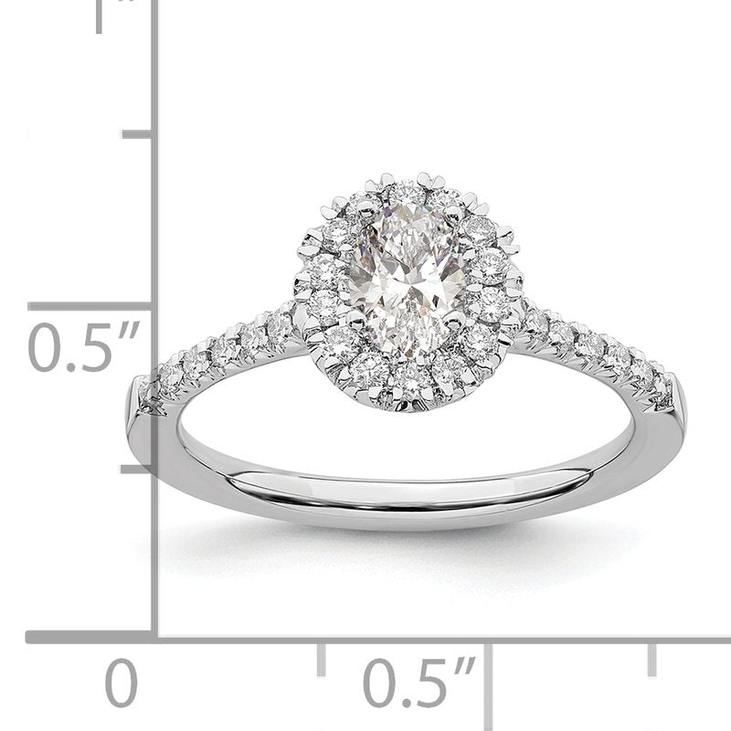 14K White Gold 1/3 carat Lab Grown Diamond VS+ F+ Semi-Mount Oval Halo Engagement Ring