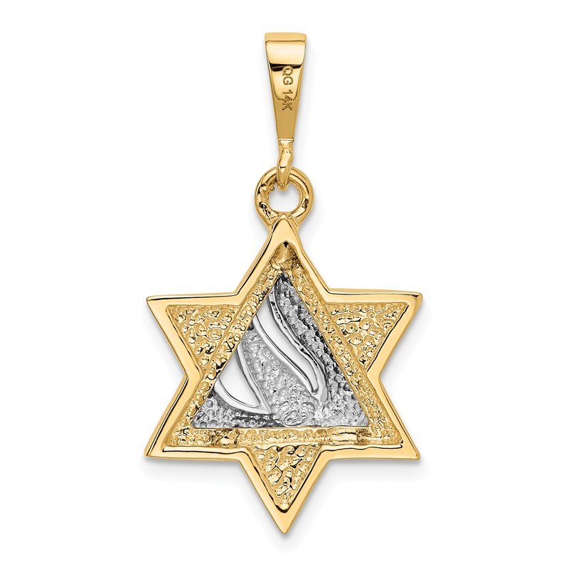 14k Two-tone Star of David with Shin Symbol Pendant