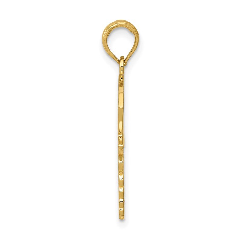 14k Caduceus with Nurses Cap Pendant