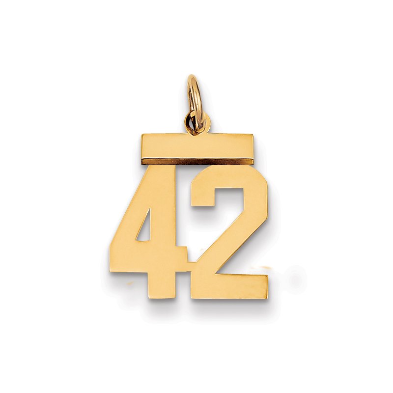 14k Small Polished Number 42 Charm