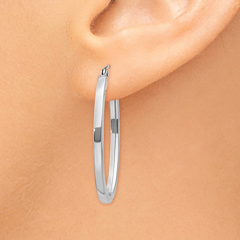 14k White Gold Oval Hoop Earrings